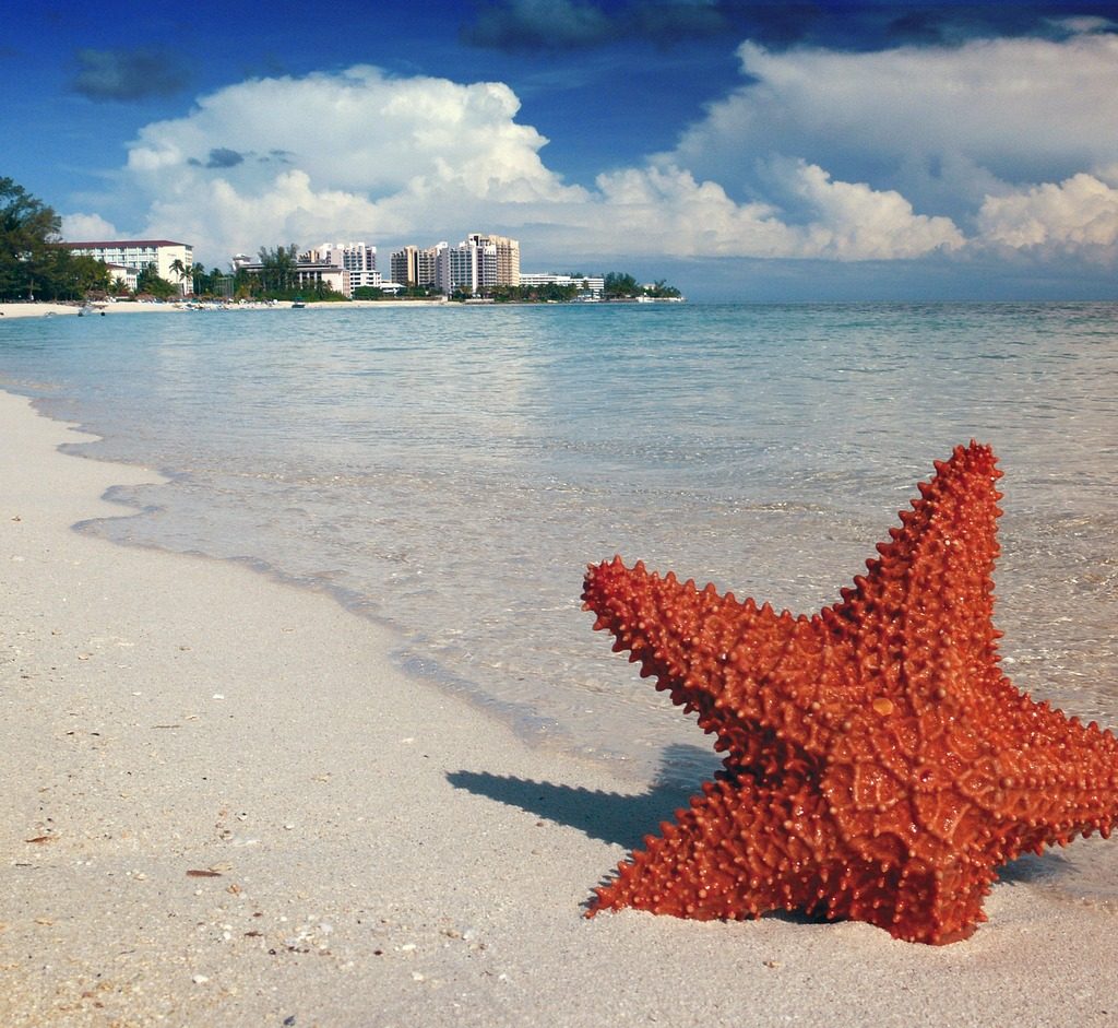 starfish, sand, bahamas-1122849.jpg